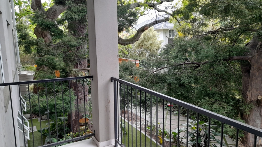 To Let 3 Bedroom Property for Rent in Kenilworth Western Cape